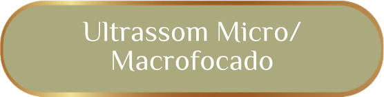 Ultrassom Micro e Macrofocado